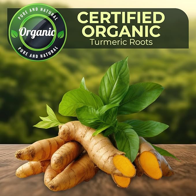 1 lb US Grown Turmeric Root Box (Organic & Fresh), Proud To Support American Farmers & Beekeepers | Turmeric Zone
