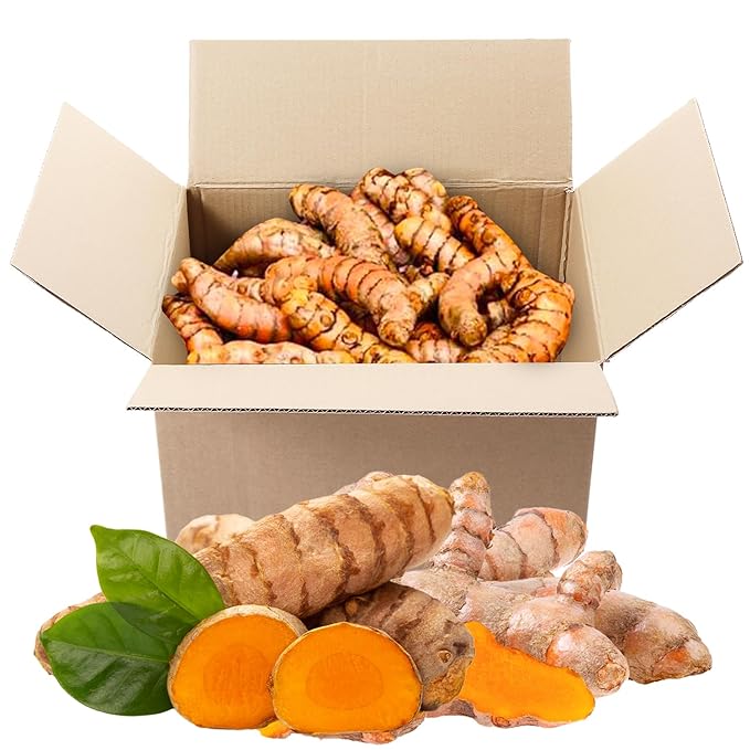 1/2 lb US Grown Turmeric Root Box (Organic & Fresh), Proud To Support American Farmers & Beekeepers | Turmeric Zone