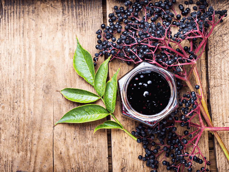 Health Benefits & Side effects of Elderberry