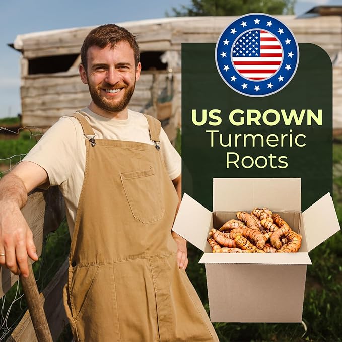 1 lb US Grown Turmeric Root Box (Organic & Fresh), Proud To Support American Farmers & Beekeepers | Turmeric Zone