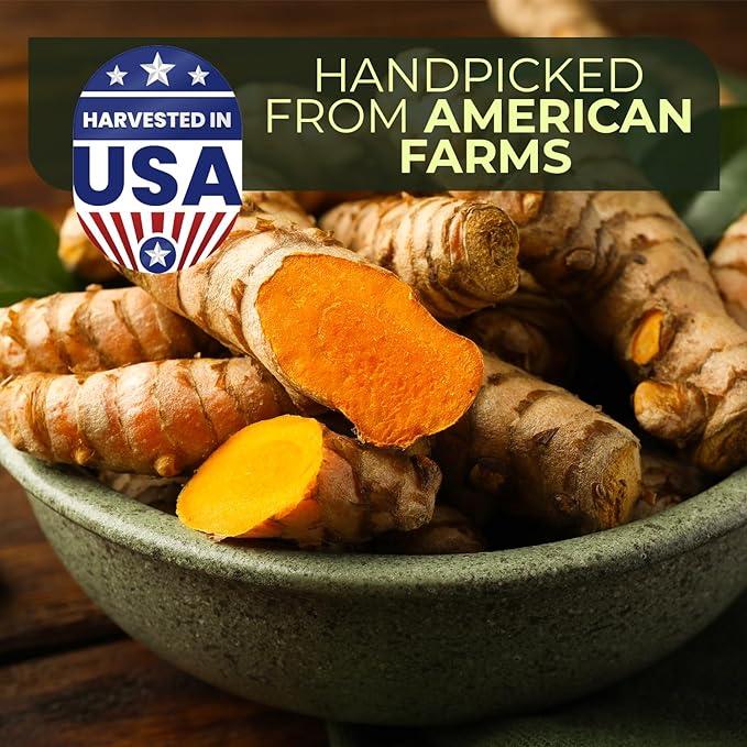1 lb US Grown Turmeric Root Box (Organic & Fresh), Proud To Support American Farmers & Beekeepers | Turmeric Zone