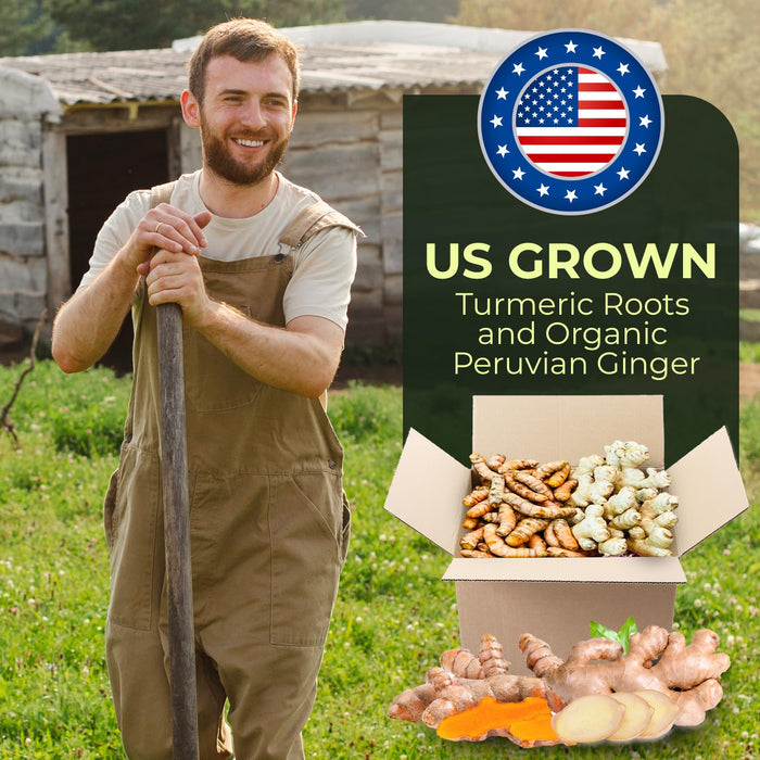 2 Lbs US Grown Organic Turmeric Ginger Root Blend Box (1 lb US Grown Turmeric FRESH + 1 lb Peruvian Ginger FRESH) - USA's Finest Wellness Ingredients
